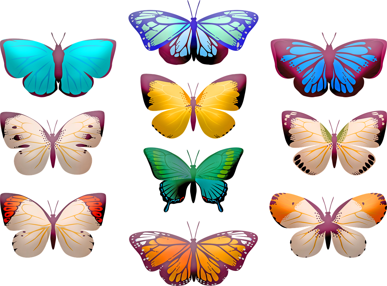 mariposas mariposas